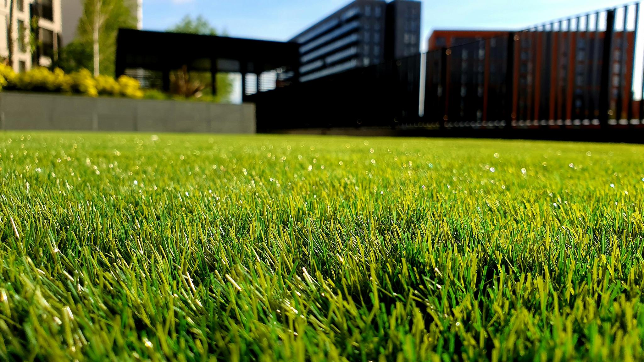 5 Signs Your Irrigation System Needs Repair